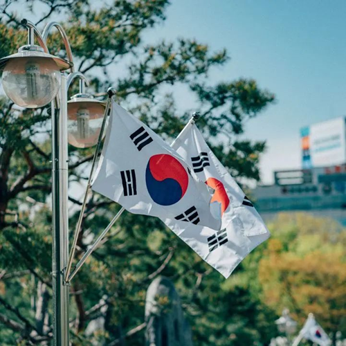 顺友物流：全球第5大电商市场，韩国跨境市场大揭秘