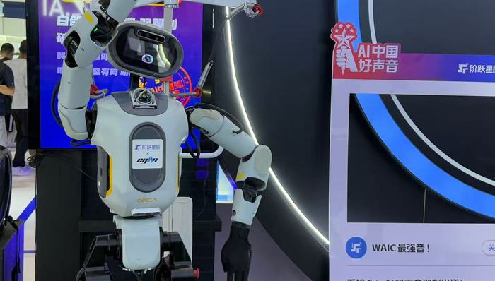 2025人工智能大会逛展指南：机器人“现场打架”，大模型走进现实